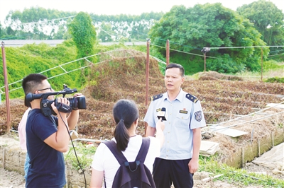 牛蛙苗“围剿记”.jpg 牛蛙苗“围剿记”.jpg