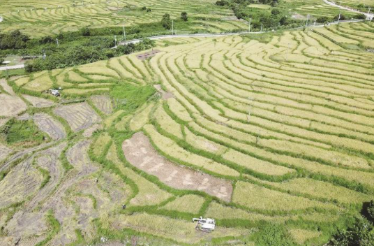 微信截图_20230811105207.png 微信截图_20230811105207.png