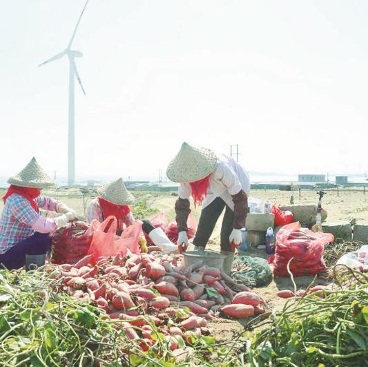 微信截图_20230811105317.png 微信截图_20230811105317.png